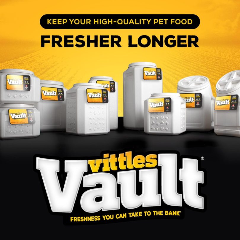 Gamma2 Vittles Vault Pet Food Storage Containers - Sealed Dog and Cat Food Storage Container, Fits up to 25lbs, Made in the USA - [12"L x 13.75"H] - Image 4